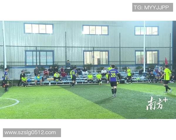 阳西足球明星盘点及其在国内外赛场的精彩表现与成就解析