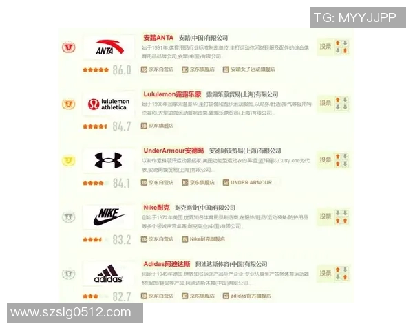 2023年最受欢迎的体育用品运动品牌排行榜及其市场影响力分析