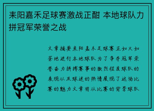 耒阳嘉禾足球赛激战正酣 本地球队力拼冠军荣誉之战