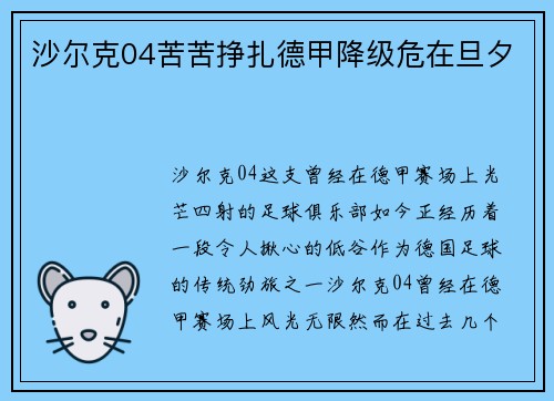 沙尔克04苦苦挣扎德甲降级危在旦夕