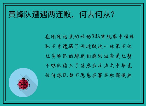 黄蜂队遭遇两连败，何去何从？