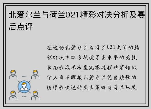 北爱尔兰与荷兰021精彩对决分析及赛后点评