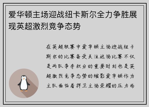爱华顿主场迎战纽卡斯尔全力争胜展现英超激烈竞争态势