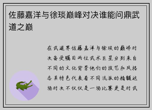 佐藤嘉洋与徐琰巅峰对决谁能问鼎武道之巅